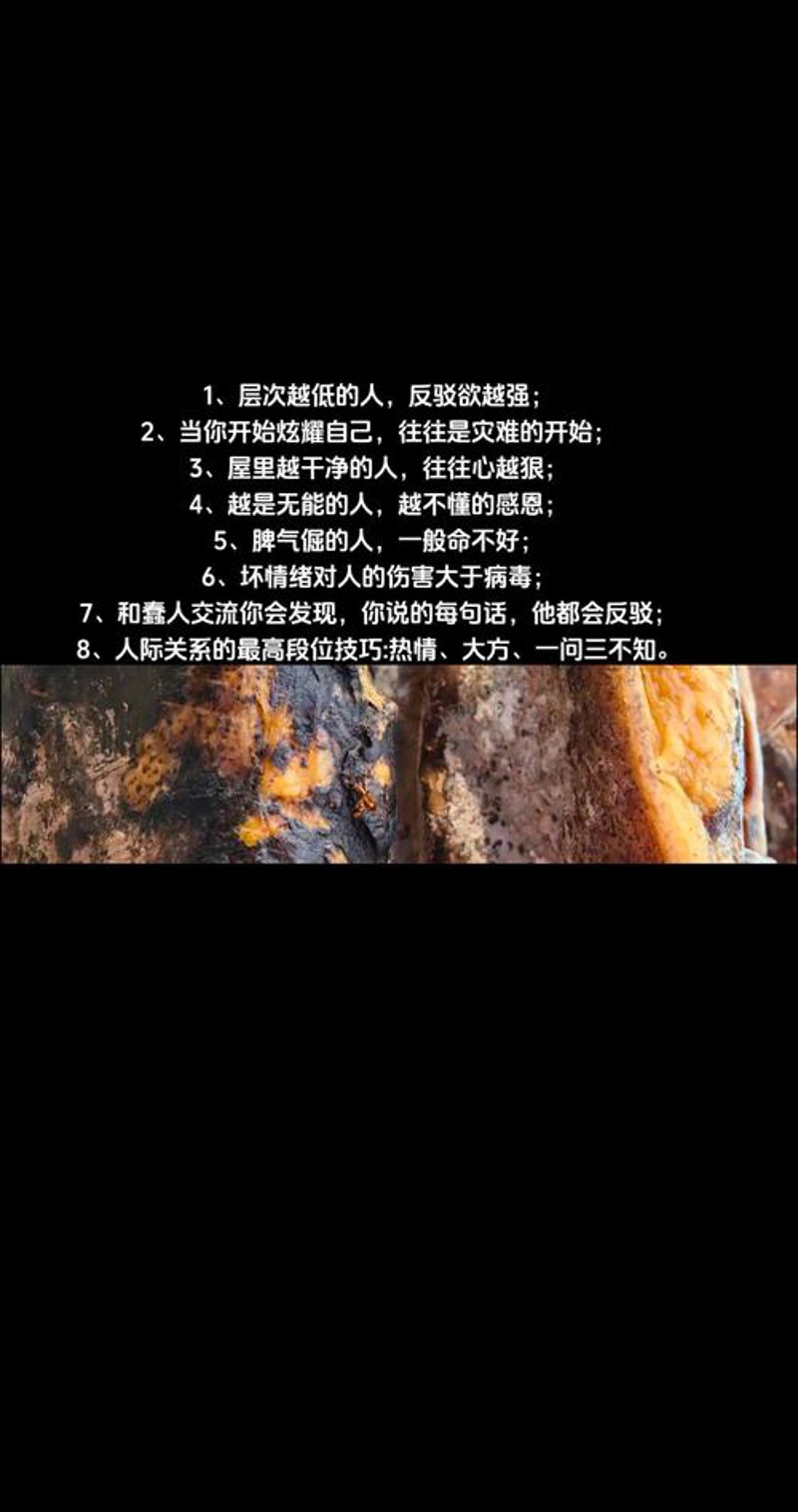 事实真相